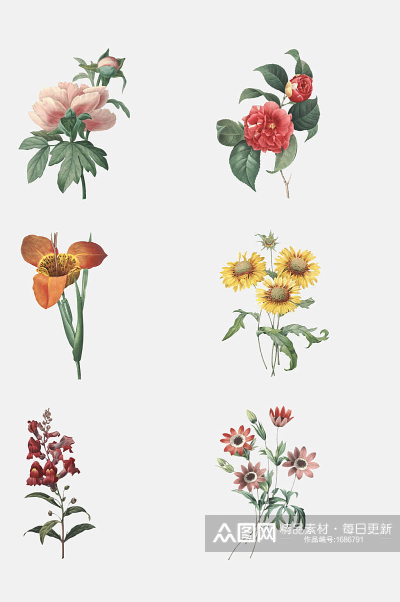 花卉插画印花设计元素素材