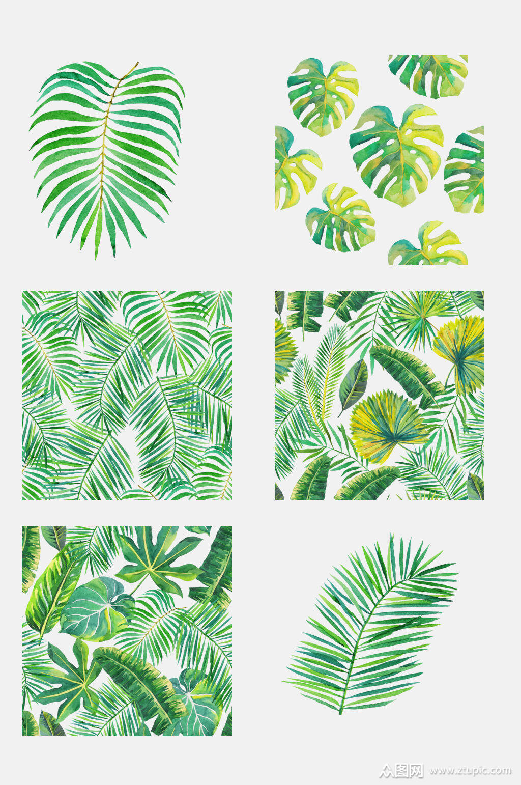 热带植物免抠元素素材素材