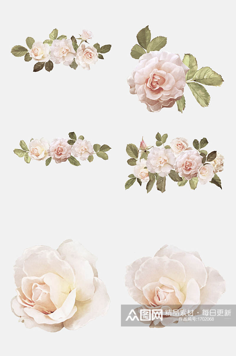 玫瑰花花瓣花环单朵花设计元素素材