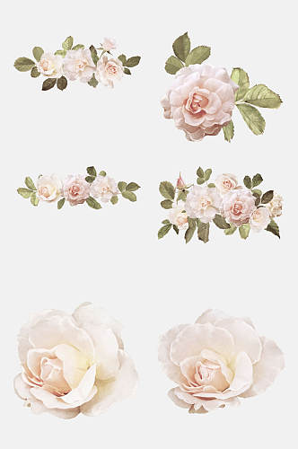 玫瑰花花瓣花环单朵花设计元素