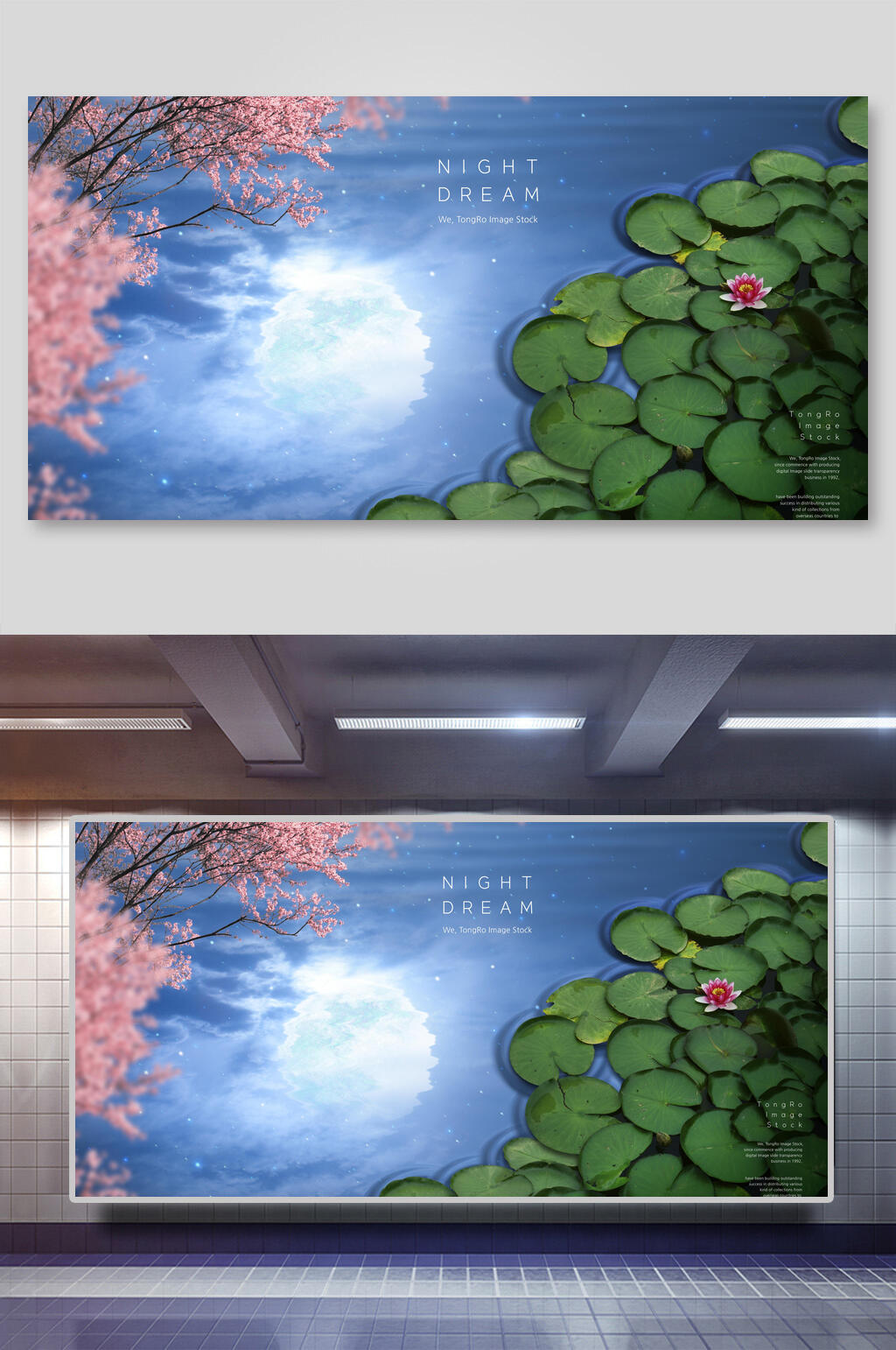 荷花月色天空海报素材