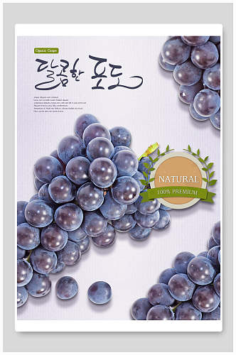 水果葡萄成熟时海报