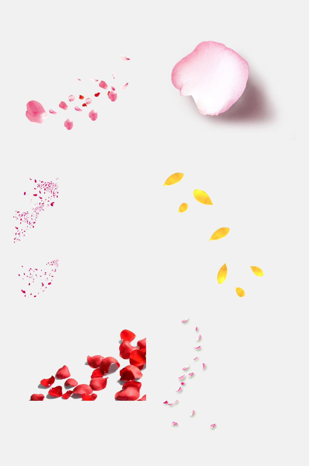 花瓣免抠元素各色花瓣设计元素i素材