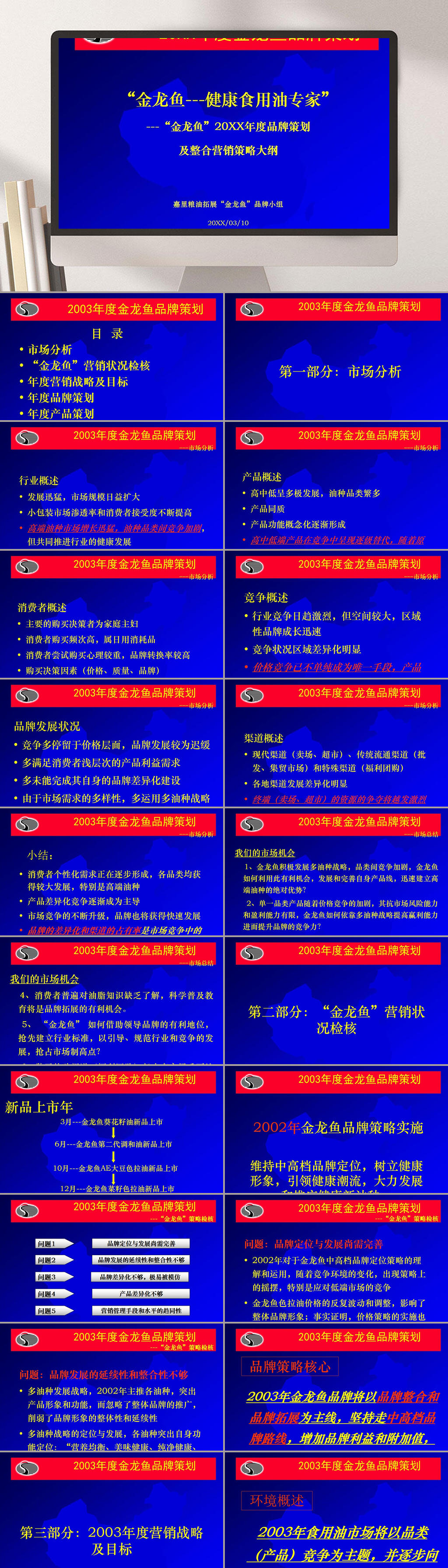 金龍魚品牌策劃及整合營銷策略大綱PPT模板素材