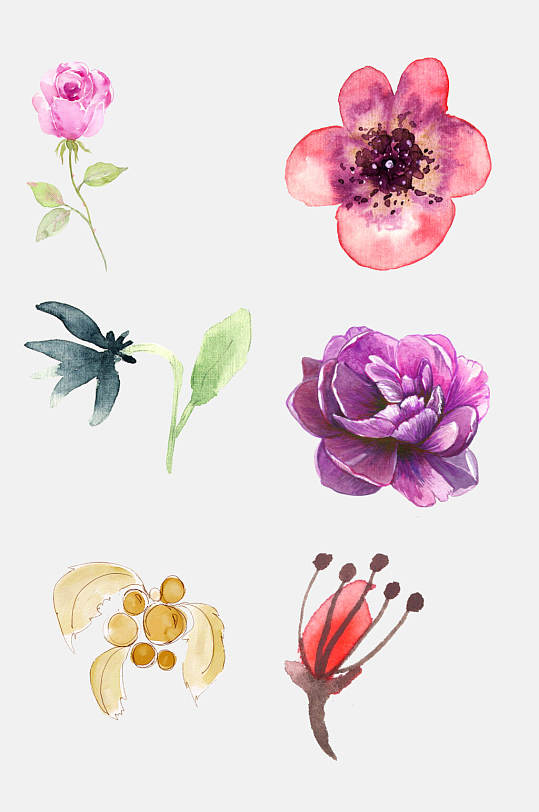 斑斓水彩花卉插画免抠元素素材