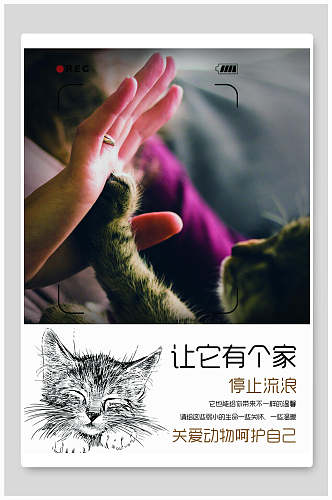 关爱动物小猫公益海报设计