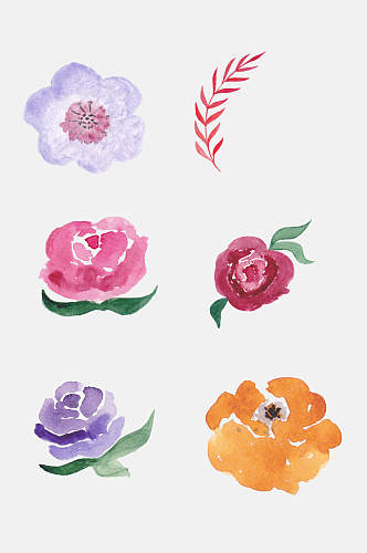 彩色手绘花卉植物免抠元素