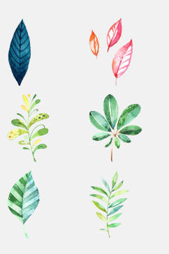 小清新水彩树叶植物图案元素