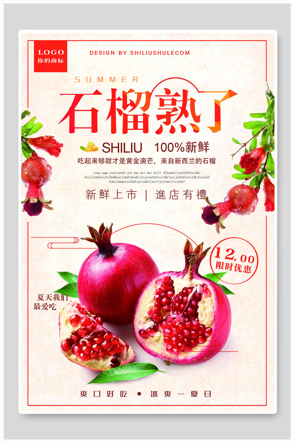 简约红石榴促销海报素材