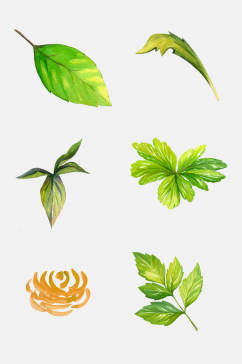 水彩绿色树叶植物图案元素