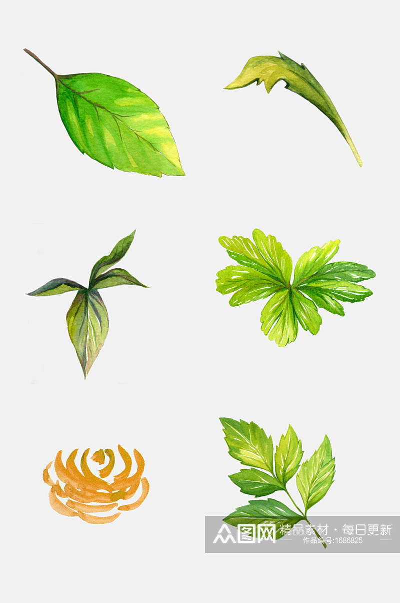 水彩绿色树叶植物图案元素素材