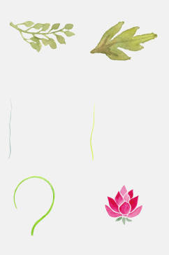 水彩花朵植物图案元素
