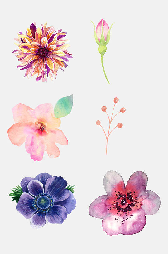 清新水彩花卉插画免抠元素素材