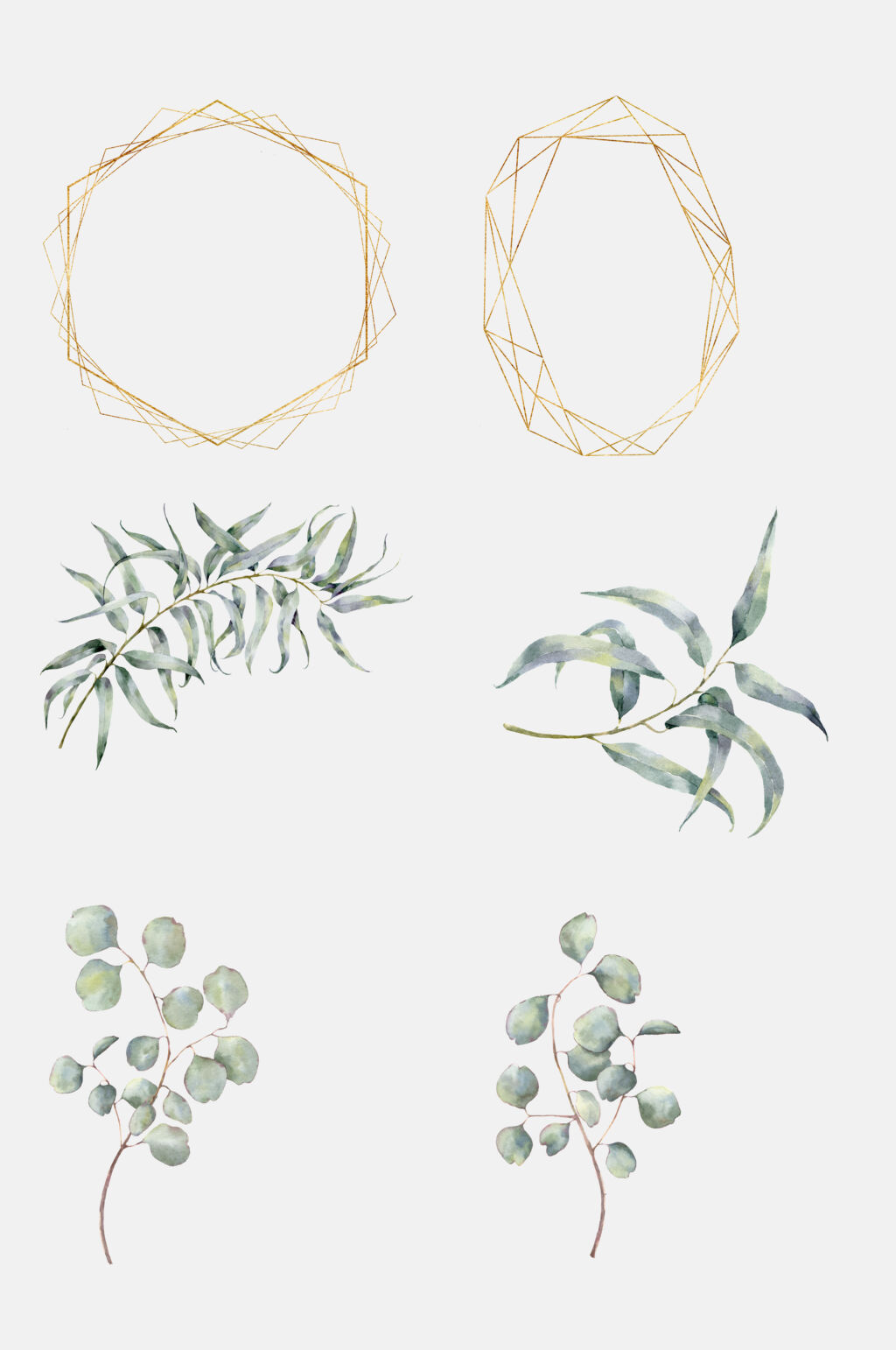 清新金线植物花卉免抠元素素材
