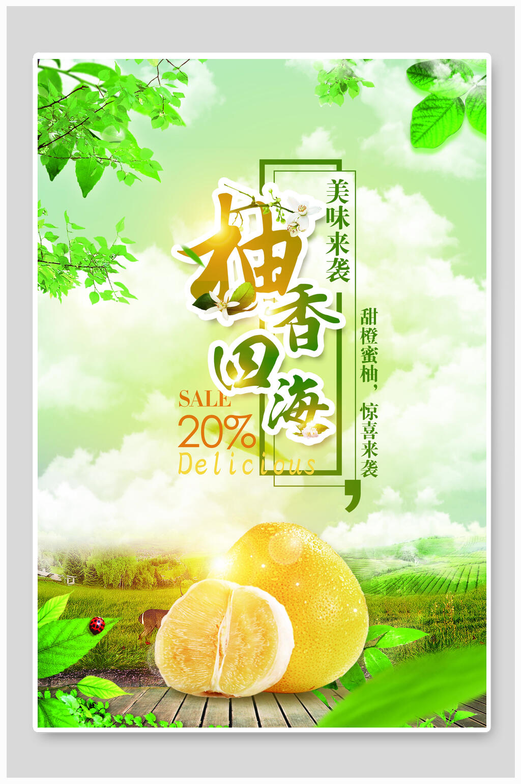 柚香四海蔬菜 柚子海报设计素材