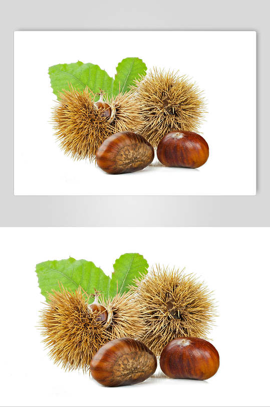 板栗图图片-板栗图素材下载-众图网