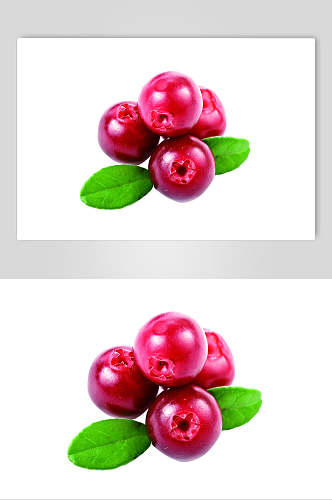 新鲜蔓越莓水果高清摄影图