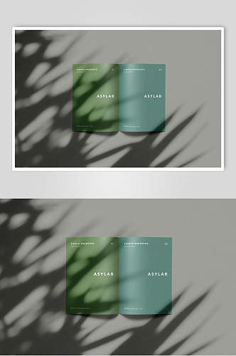 蓝绿书籍两折页样机效果图