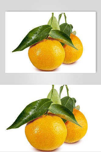 生鲜水果椪柑柑橘橘子摄影图