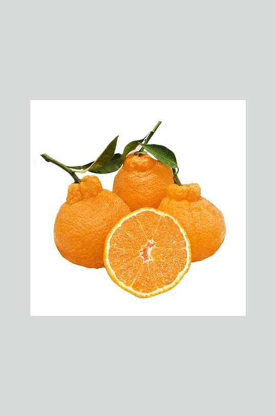新鲜丑橘水果摄影图