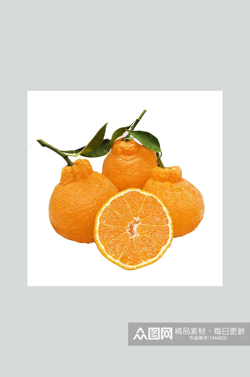 新鲜丑橘水果摄影图素材