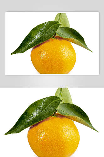 椪柑柑橘橘子水果摄影图