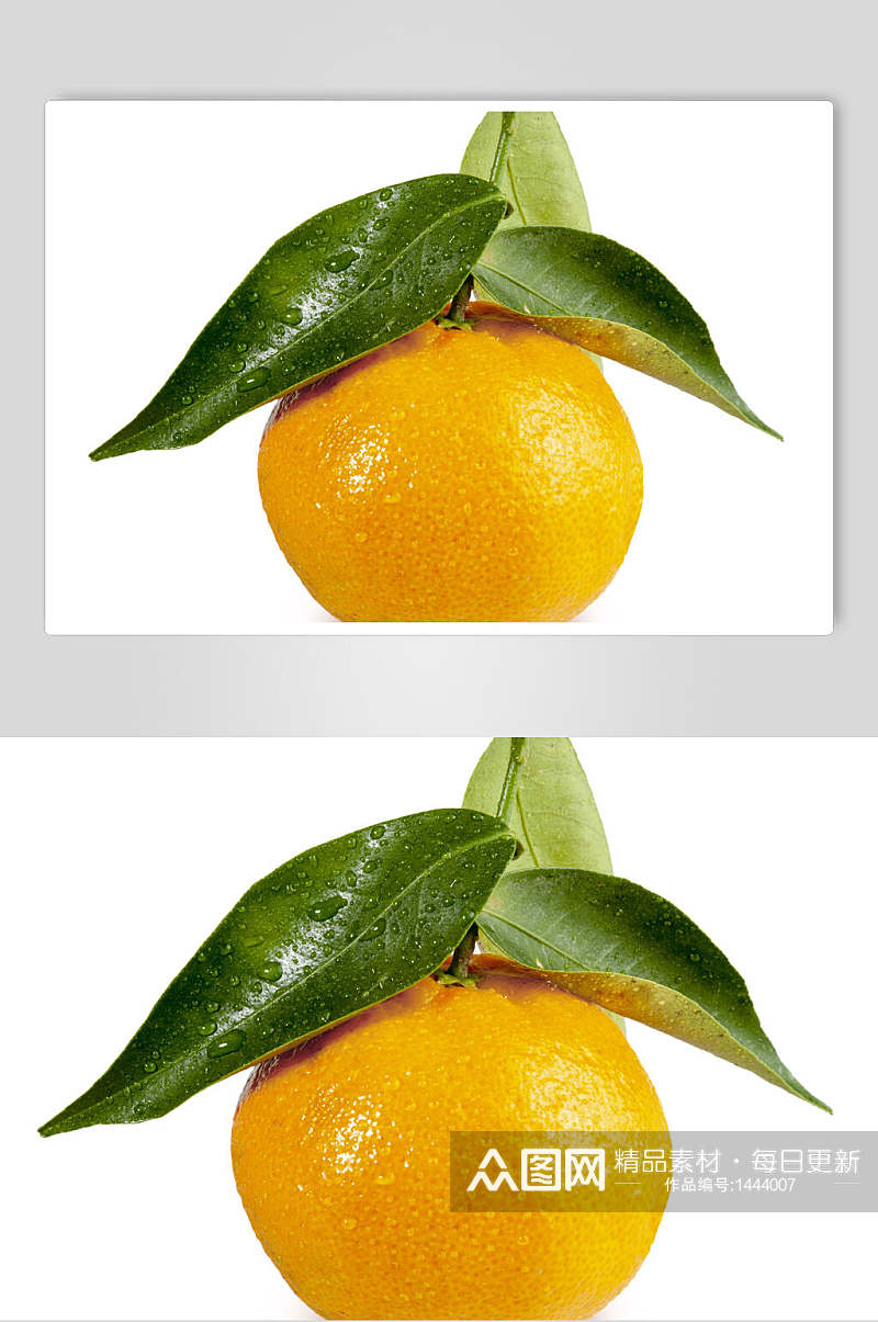 椪柑柑橘橘子水果摄影图素材