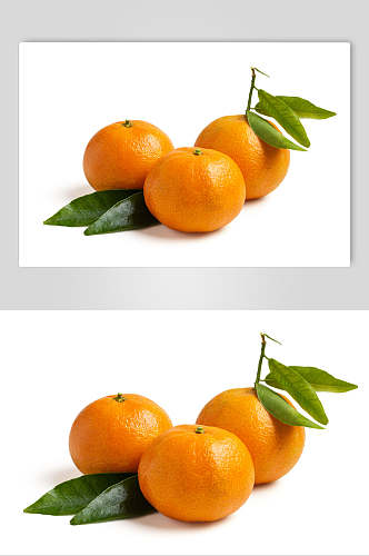 纯白背景美食橘子水果摄影图