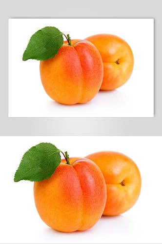 杏新鲜水果摄影图