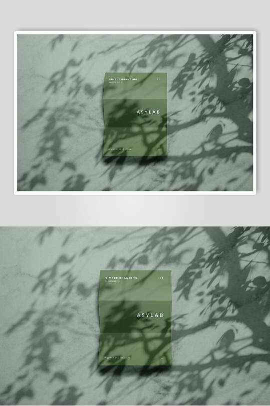 绿色封面书籍标签样机效果图