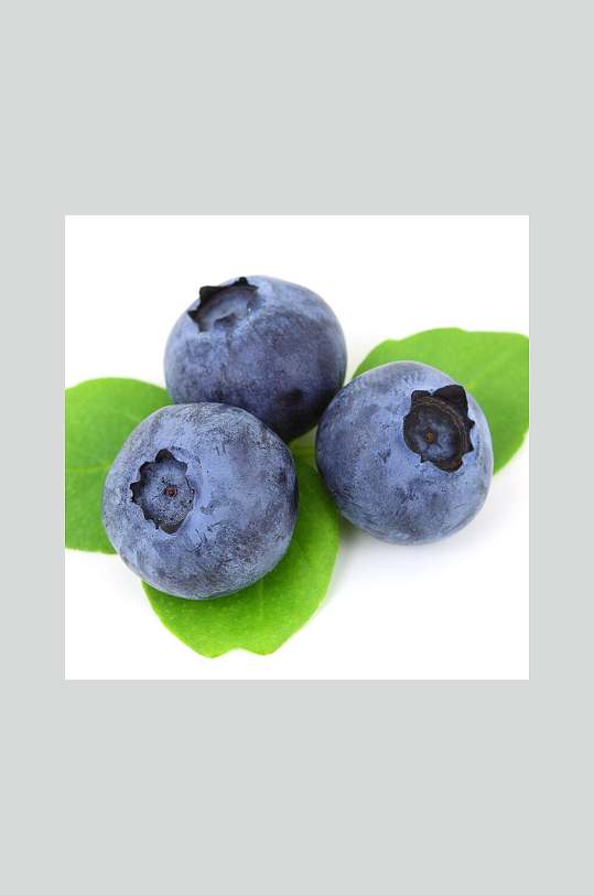 深紫色蓝莓摄影图