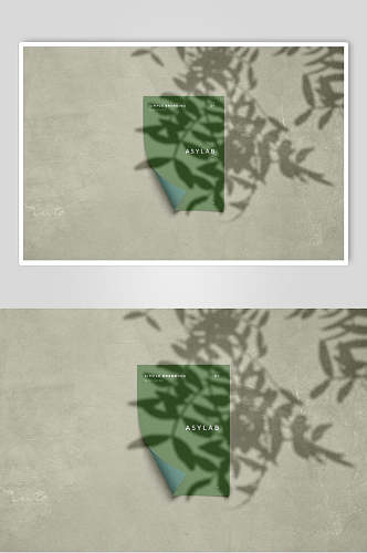 绿色树叶阴影纸张样机效果图