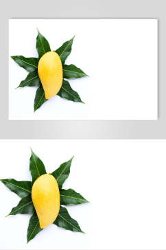 高清夏季水果芒果摄影图