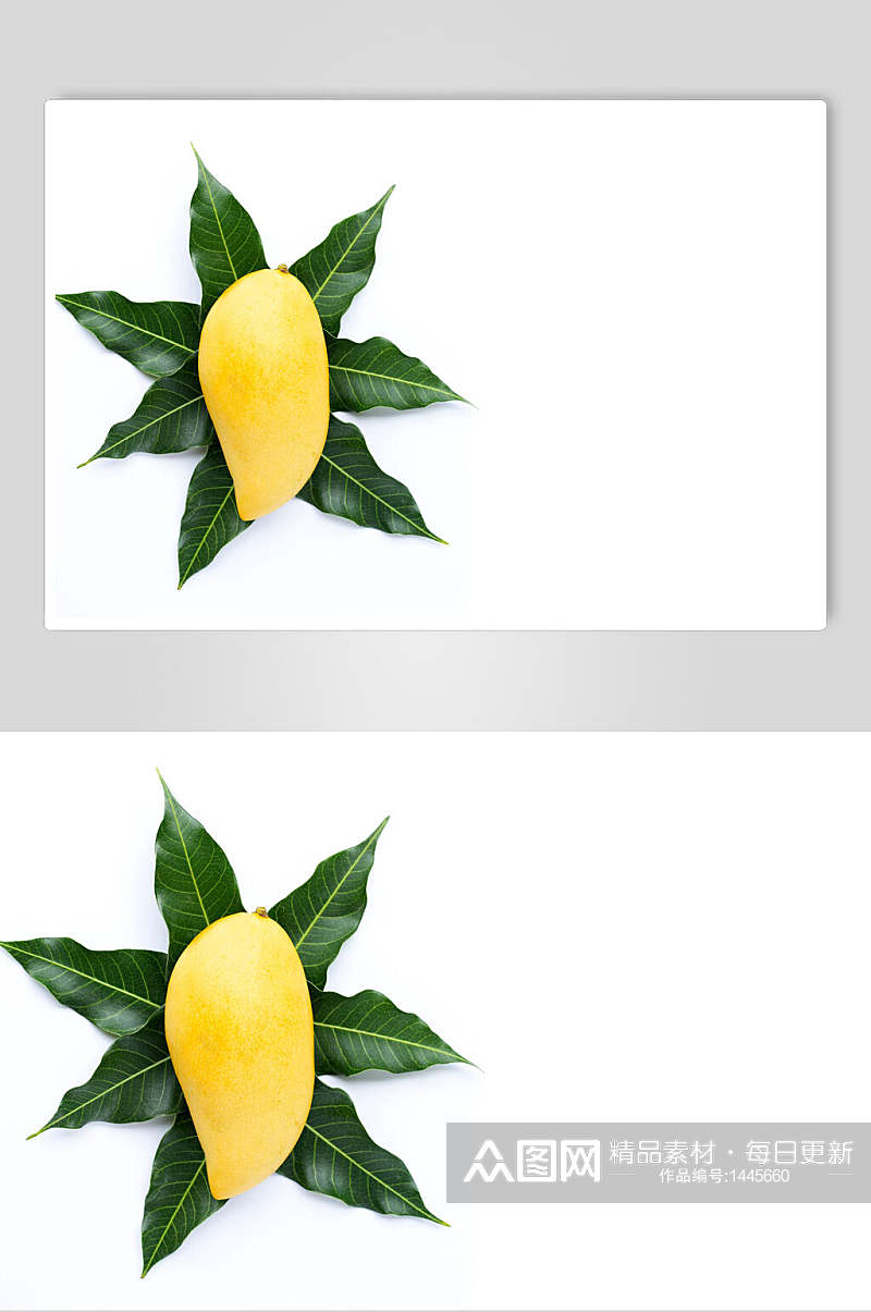 高清夏季水果芒果摄影图素材