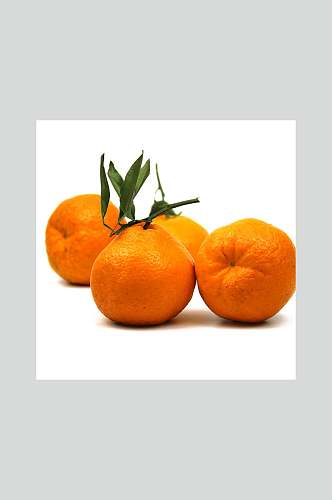 丑橘水果美食摄影图