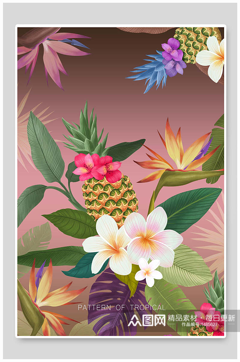 热带植物海报设计花草凤梨时尚简约素材