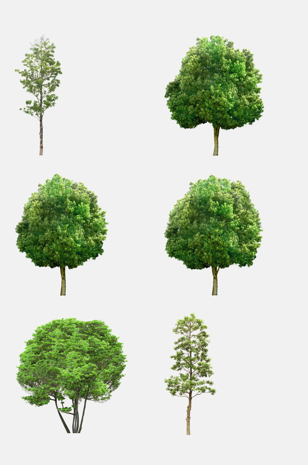绿色植物树木免抠元素素材