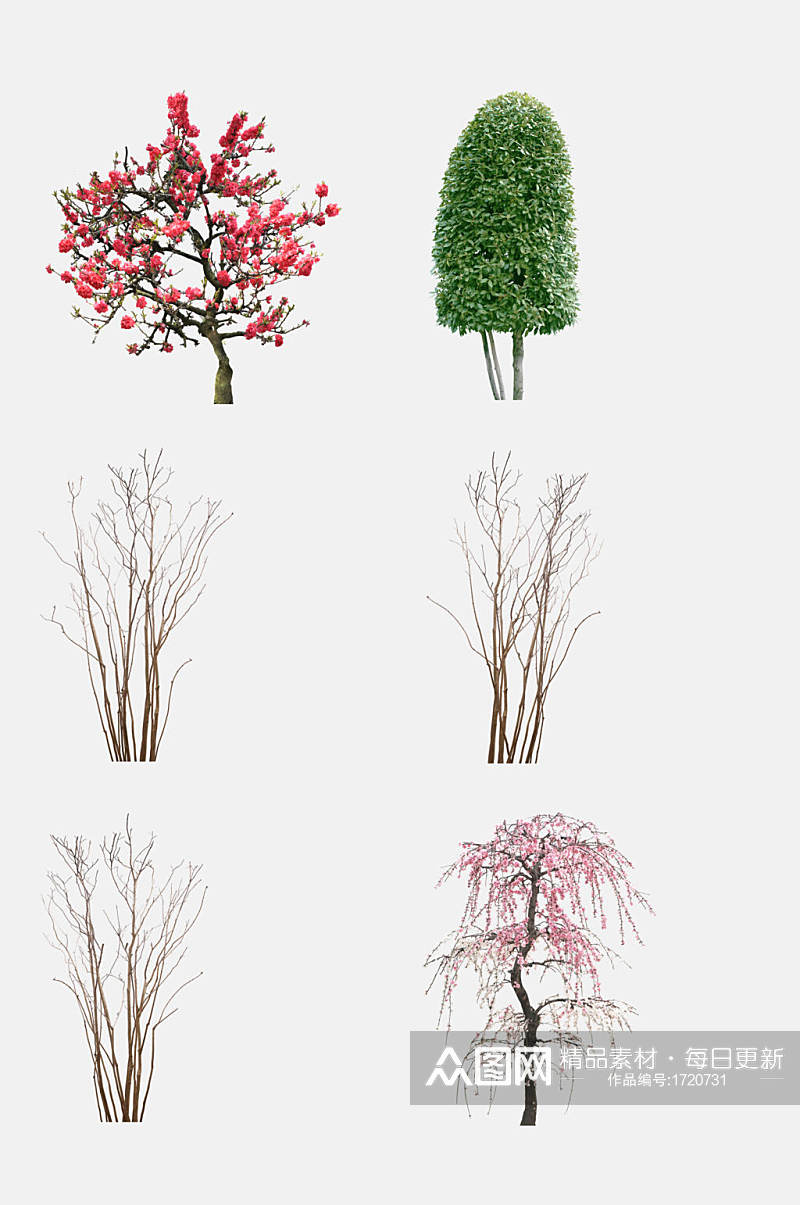 植物树木生长免抠元素素材素材