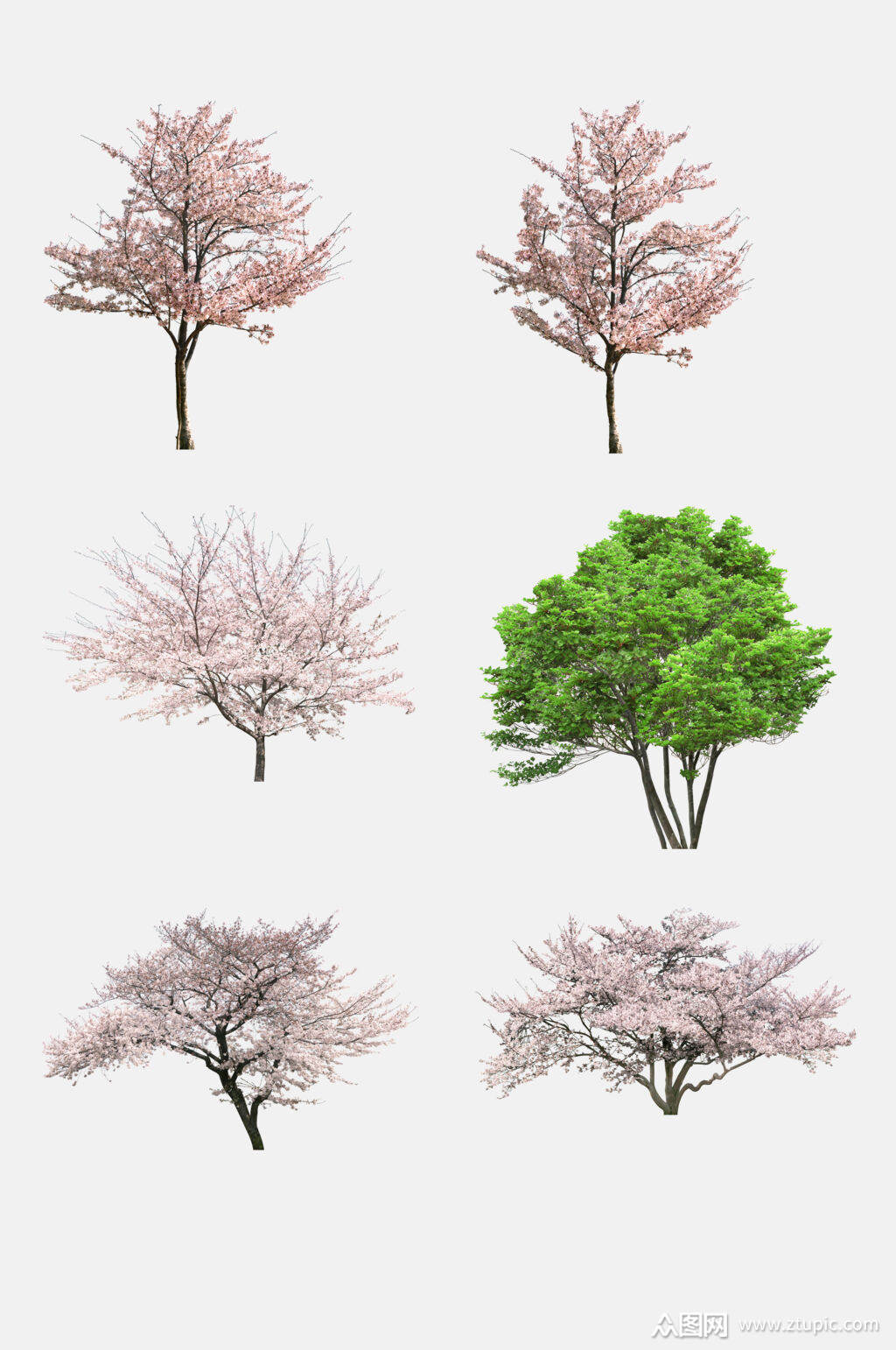 绿色植物树木免抠元素素材素材