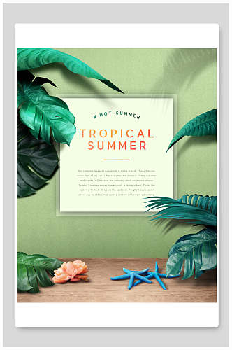 夏天热带植物海报设计