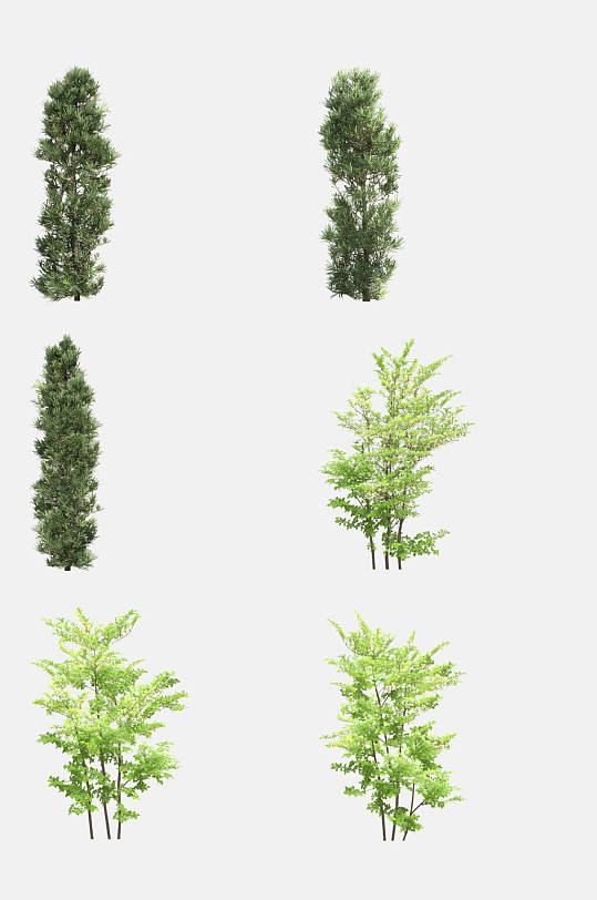 植物树木生长免抠元素素材