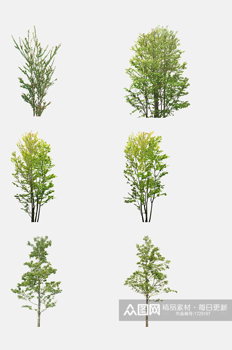 植物树木景观素材免抠元素素材