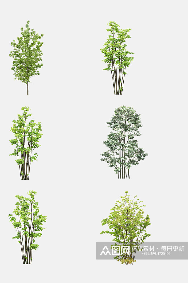 景观树植物树木免抠元素素材