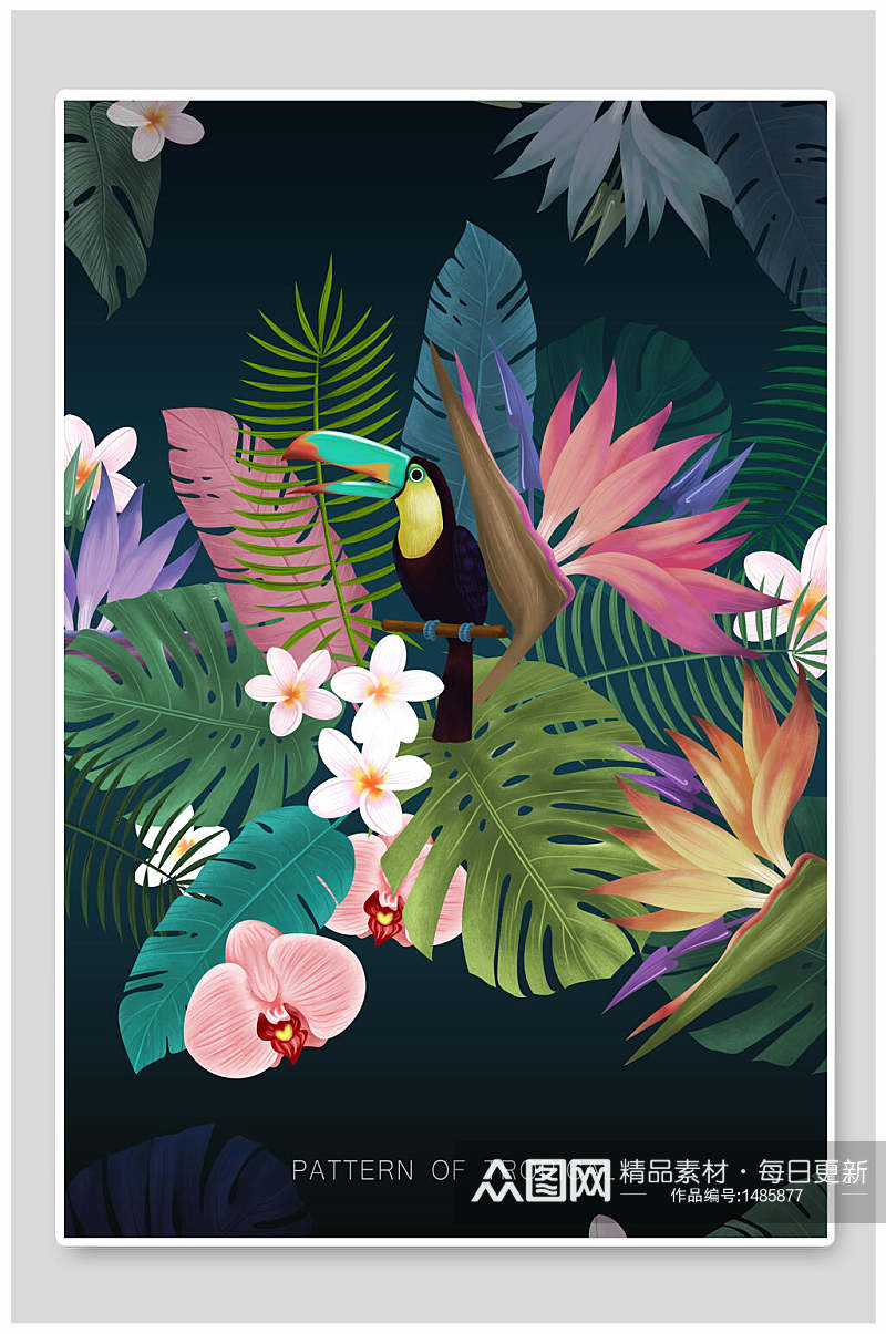 雅致热带植物海报设计素材