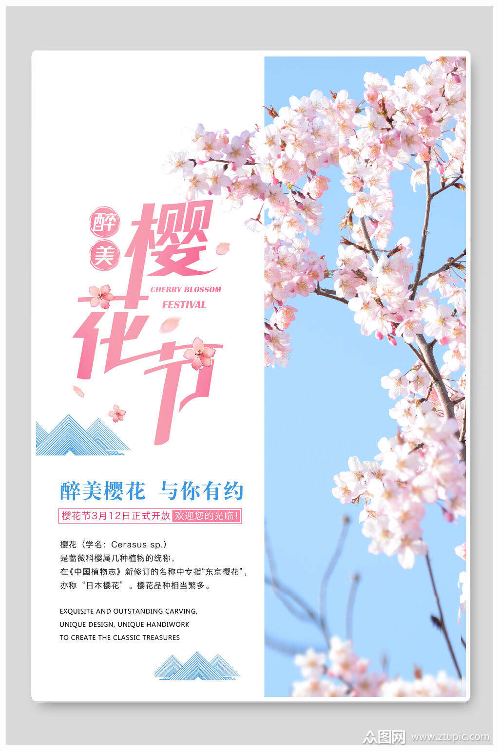 醉美与你有约浪漫樱花节海报