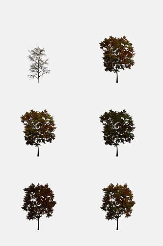 高清植物手绘画茂盛树木免抠元素素材