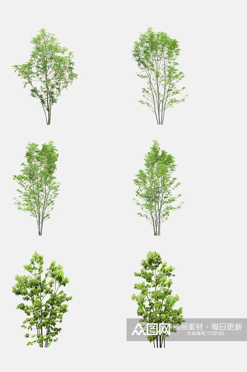 植物树木景观素材免抠元素素材
