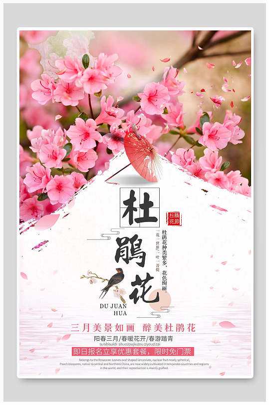 中国风杜鹃花樱花节海报