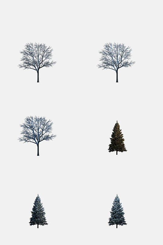 高清植物写实树木免抠元素素材