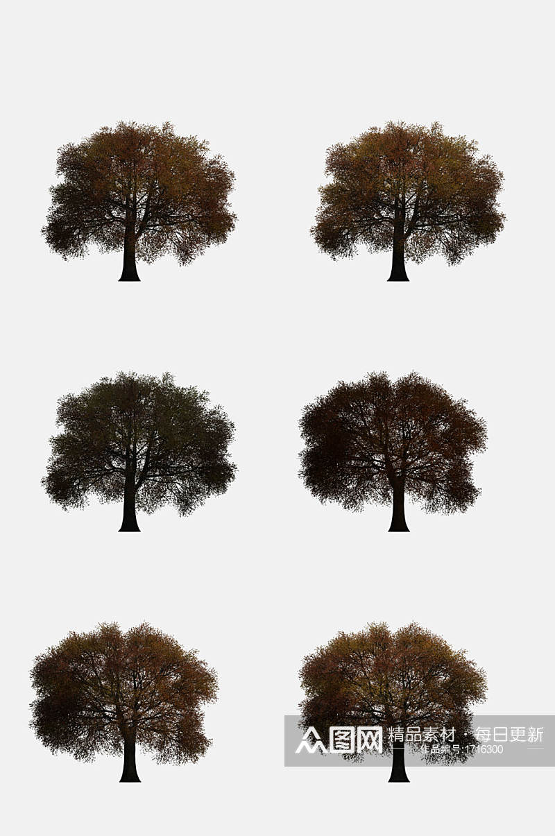 高清手绘画植物树木图片免抠元素素材素材